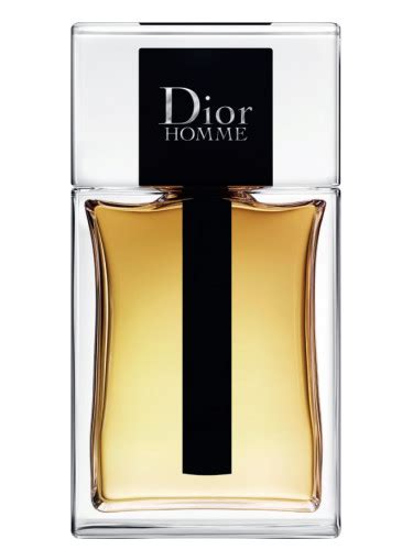 dior homme 2020 longevity.